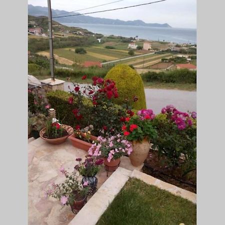 Villa Roses-Μουρτερή Εξωτερικό φωτογραφία