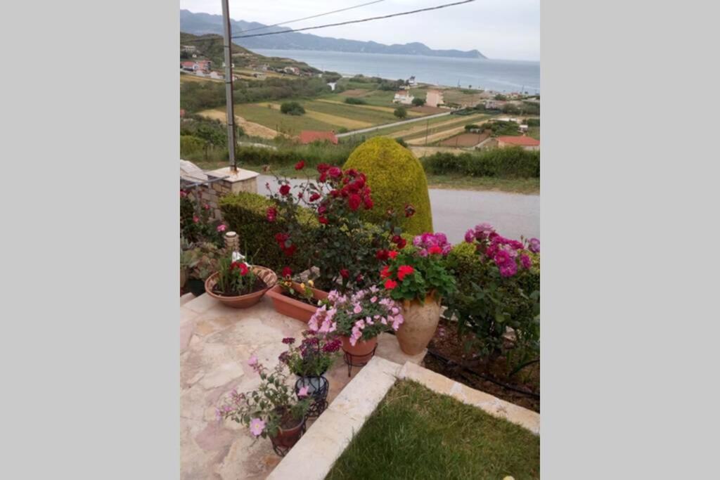 Villa Roses-Μουρτερή Εξωτερικό φωτογραφία