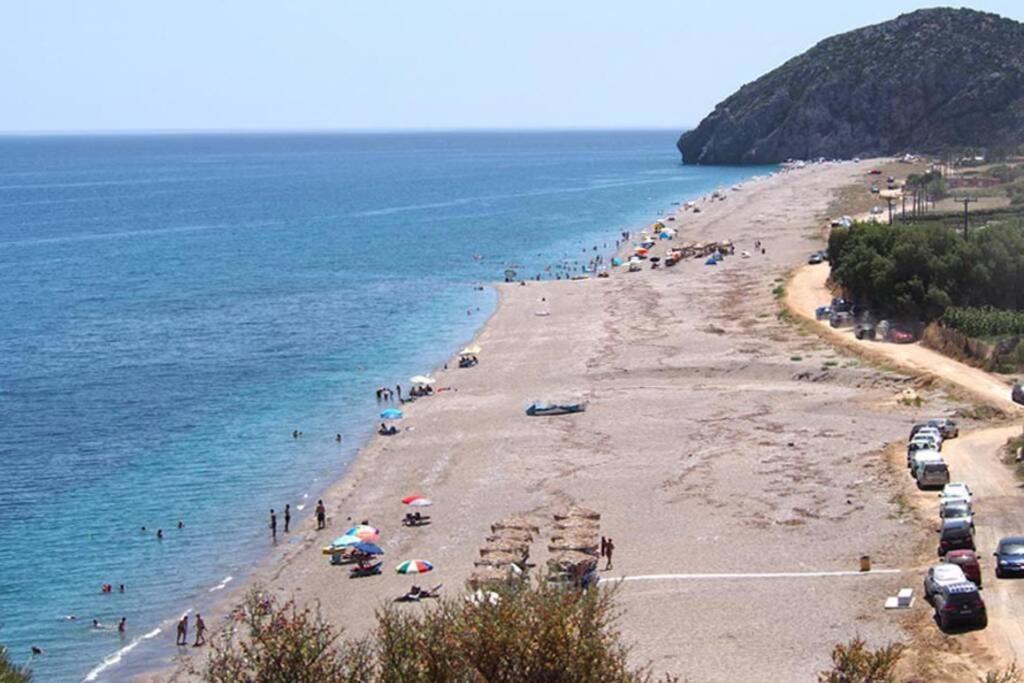 Villa Roses-Μουρτερή Εξωτερικό φωτογραφία