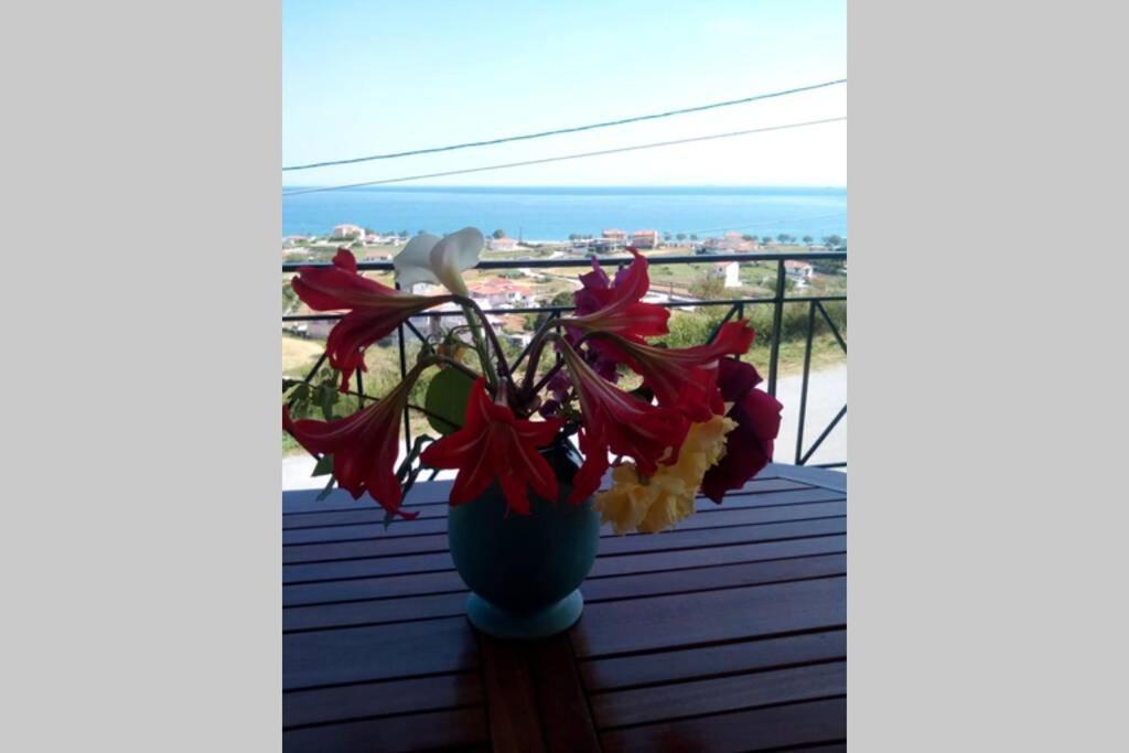 Villa Roses-Μουρτερή Εξωτερικό φωτογραφία